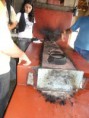 /album/fazenda-santa-fe/fazenda-santa-fe-13-11-2010-29-jpg/